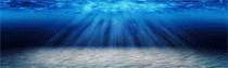 vs-logo-img